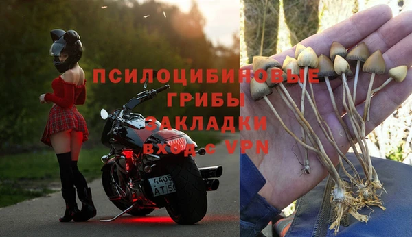 мескалин Богданович