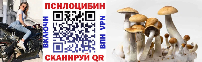 Купить закладки  Юрюзань  Псилоцибиновые грибы Psilocybine cubensis 