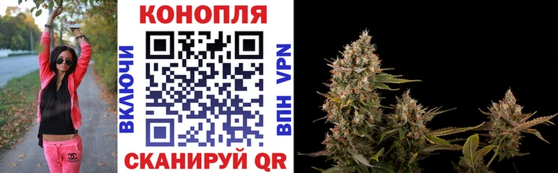 Канабис план  Купить закладки  Юрюзань 